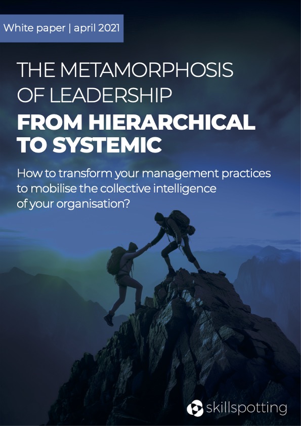 Leadership Metamorphosis Weißbuch - Systemisches Management